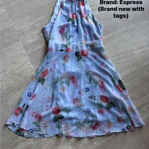 Express Floral Print Scarf